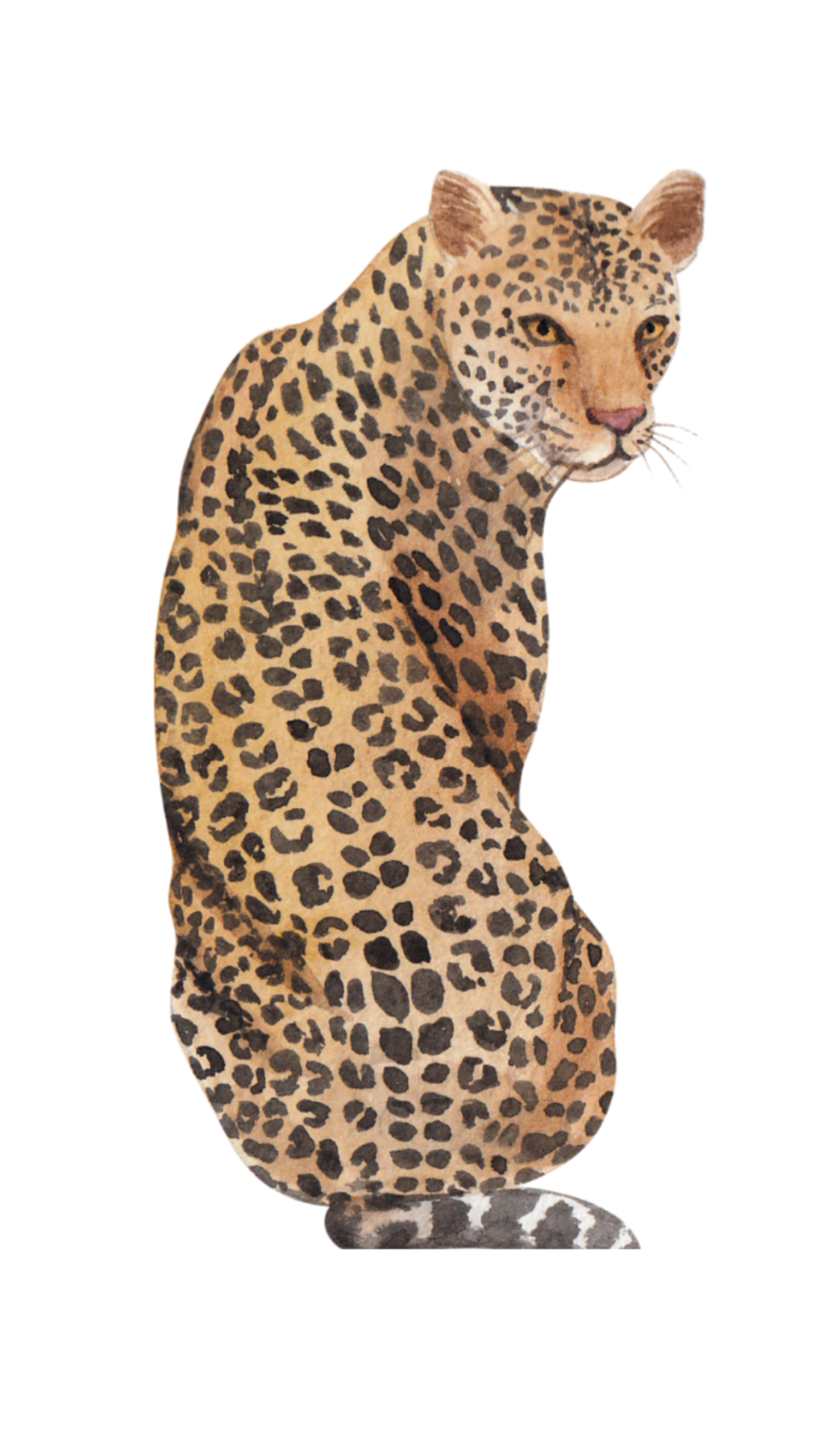 unnamed image