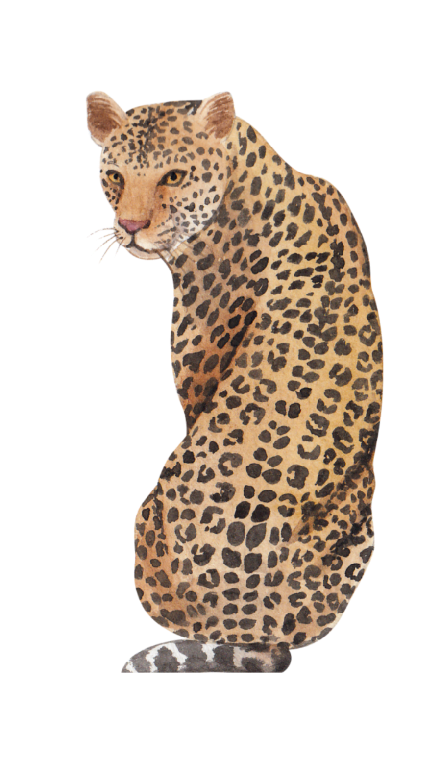 unnamed image